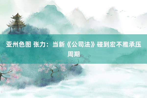 亚州色图 张力：当新《公司法》碰到宏不雅承压周期