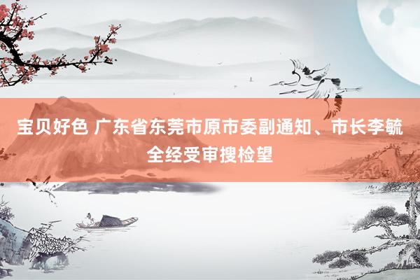 宝贝好色 广东省东莞市原市委副通知、市长李毓全经受审搜检望