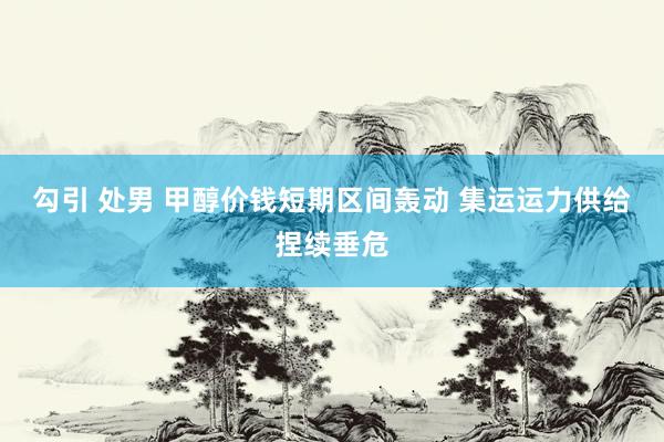 勾引 处男 甲醇价钱短期区间轰动 集运运力供给捏续垂危