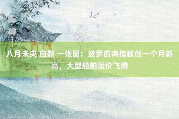 八月未央 自慰 一张图：波罗的海指数创一个月新高，大型船舶运价飞腾